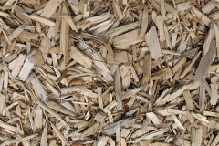 biomass boilers Dunkenny